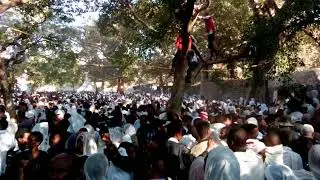 Fasil gate Swimming pool during Timket celebration 2018