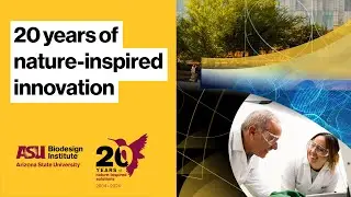 20 years of nature-inspired scientific innovation