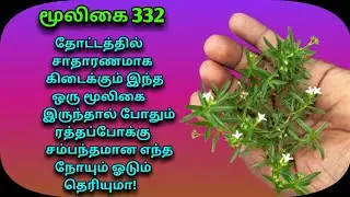 இன்புறா|இம்பூரல்|சிறுவேர்|inpura|impooral|siruver|Oldenlandia umbellata|அலசல்|Alasal