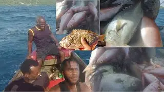 Summer fishing jackpot in Jamaica | Red snappers & Big jacks