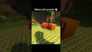 Minecraft puzzle 💀
