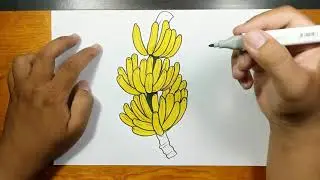 How to draw and coloring BUNCHES OF BANANA step by step