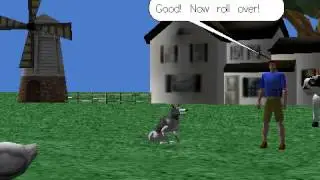 Animal Tricks
