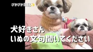 【要求】目は口ほどのモノをいうけど、言わないと気がすまない