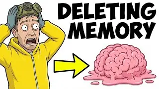 The Real Reason You Keep Forgetting Things!
