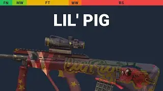AUG Lil' Pig - Skin Float And Wear Preview