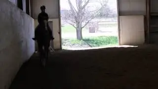 Kayla riding Cover in a lesson at Camelot Farm