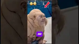 Wild Behavior Uncovered: Top 5 Oldest Living Creatures on Earth Today 🌍#sea #shorts #tiktok