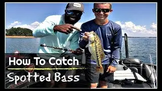 How to catch Spotted Bass (Fall Fishing)