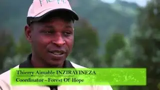 Gishwati Forest - 7 years of conservation