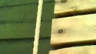 VID 20110111 044959