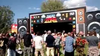 Strawberry fair Cambridge 2015