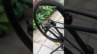 DT Swiss 350 hub check 18T