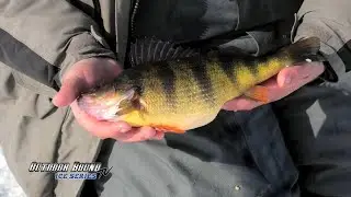 Outdoor Bound TV Mississippi River Perch Ice Fishing EP176