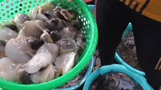 The Quickest Snails Cook Ever - Vietnam street food