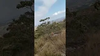 sinal de ZZ5D em GG78MG. BSB VHF 2023
