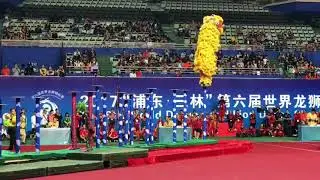 马来西亚群乐龙狮团  at Yuanshen Sports Center Stadium