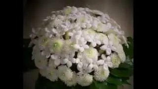 Flowers Etc Wedding Design Portfolio 207 725 2462  