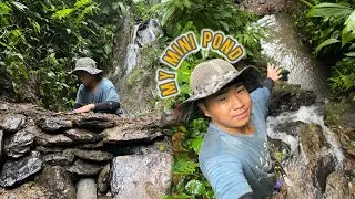 My private mini fish 🐠🐟 pond // Arunachal Pradesh // northeast // India 🇮🇳..