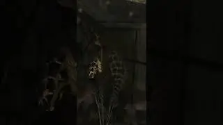 LAra stepped into the trap #shorts #viral #games