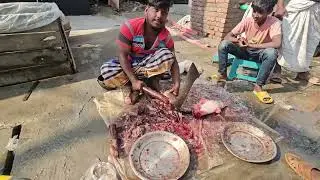 Raw Fish Cutting Scene in Village Bazar | SR Dance BD