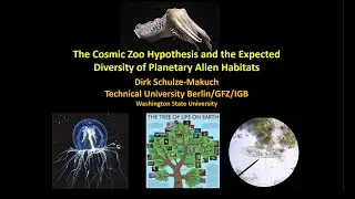 The Cosmic Zoo Hypothesis and the Expected Diversity of Planetary Alien Habitats