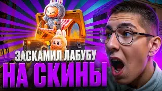 ⚡️ РИСКОВОЕ ОТКРЫТИЕ КЕЙСОВ КС 2 - ПРОВЕРЯЕМ НОВИНКИ | Кейсы CS 2 | Открытие Кейсов на Сайте
