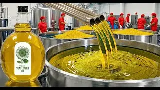 Inside Olive Oil Factory | From Fresh Olives to Extra Virgin Oil (Full Process)