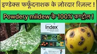 Index Fungicide | Powdery mildew,leaf spot,Apple scab Disease Control |
