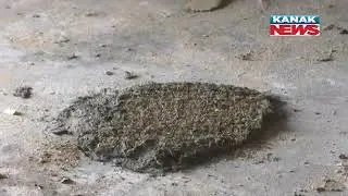 Ground Zero Report From A TMC In Satyabadi