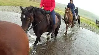 Crossing Wales by Horseback - Ultimate Trans-Wales Trail on Welsh Cobs - Epic!