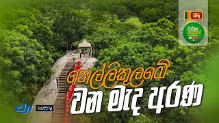 Nellikulama Panchasathika Charika Ramaya | Sri Lanka (Travel Vlog 107)