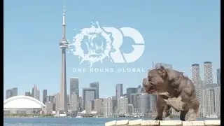 WORLDS MOST EXTREME EXOTIC   AMERICAN BULLY ORG'S LOTTO!!!