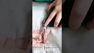 Trim bird's beak use nail clipper at home Pigeon