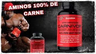 Carnivor Beef Aminos by MuscleMeds | 100% beef amino acids that promise great benefits.