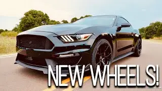 BEST Mustang WHEELS?! Project 6GR 10-Spoke Wheels Review!