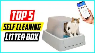 5 Best Self Cleaning Litter Box