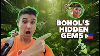 Chocolate Hills Bohol: Epic Drone Views + Adventure Park Zipline (Part 2)