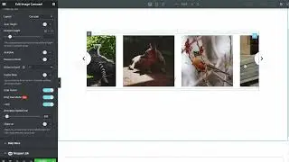 How to add Image Carousel in Elementor Page Builder