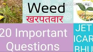 Weed Important Questions