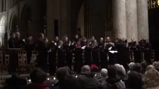 Nu is die roe (Jan Moeyaert) - Brussels Chamber Choir