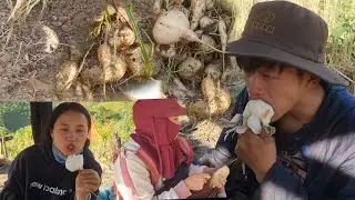 Noj khoom tau siab qab tshaj li 