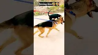 The chain pullers🤣🤣 #shorts #viral #trending #short