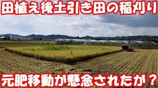 田植え後に土引きした田んぼの稲刈り。心配した出来はどうだ？ #稲刈り #籾摺り