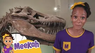 Blippi | Meekah’s Dino Discovery | Learning Videos For Kids | Education Show For Toddlers