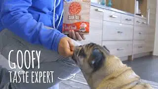 Buddy Biscuits Grain-Free Soft & Chewy with Peanut Butter Dog Treats, 5-oz | PuppySimply