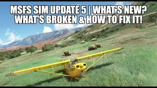 MSFS Sim Update 5 - What's New? | Mid-Range PC Performance, CTDs & FlyByWire A320