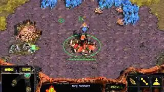 FPVOD FR Yoda vs Love Funny ZvT Starcraft Brood War