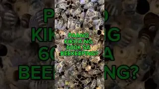 600 Thousand na Income sa Bubuyog? How? Stingless Beekeeping How it Works #bee #beefriendly #preview