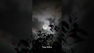 Sad Urdu Poetry😭💯| Emotional Shayari | Poetry Shayari |Zehri Writes Status| WhtsApp Status #shorts